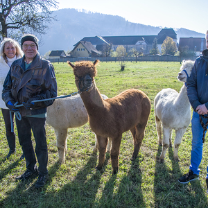 Unser Pfarrfest am Martinisonntag
